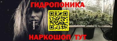 PSILOCYBIN Кингисепп