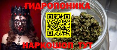 меф Кандалакша