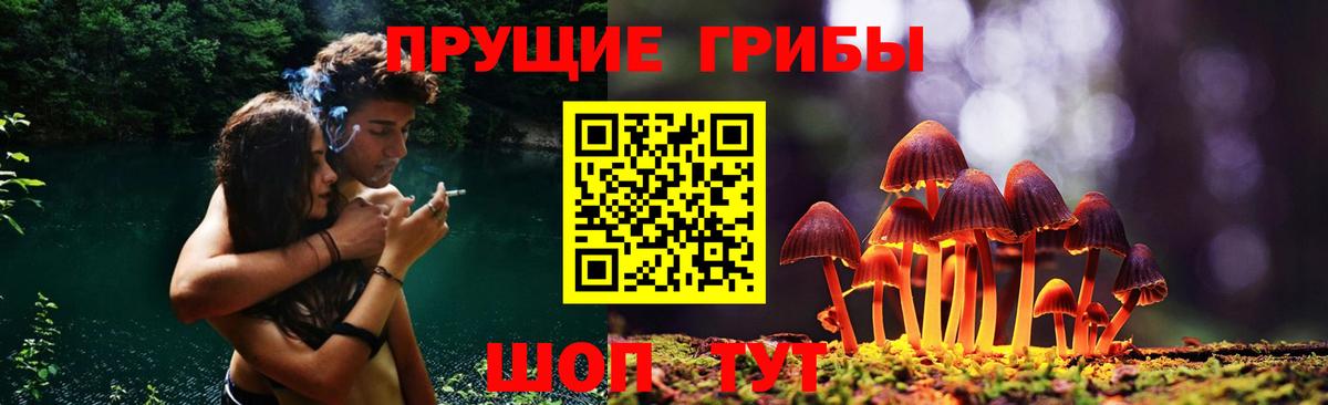 Кольчугино  Галлюциногенные грибы Psilocybine cubensis  Галлюциногенные грибы Magic Shrooms  Вход с VPN 