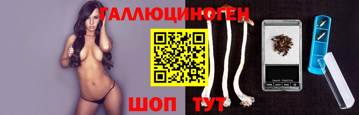 Псилоцибиновые грибы ЛСД Кольчугино